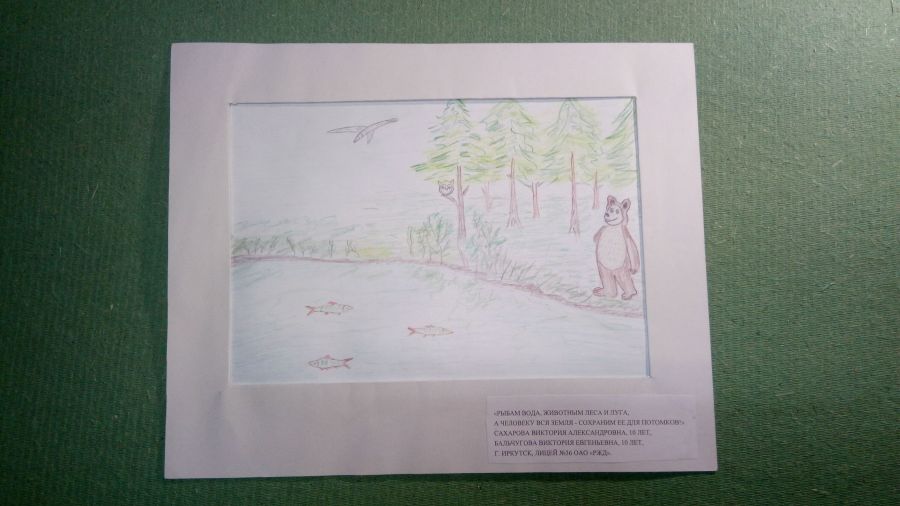 Международный Конкурс детского рисунка в рамках номинации «Экологическое образование, просвещение и культура» Международной экологической премии «EcoWorld» 2020 (возрастная группа 8-17 лет) - фото 54