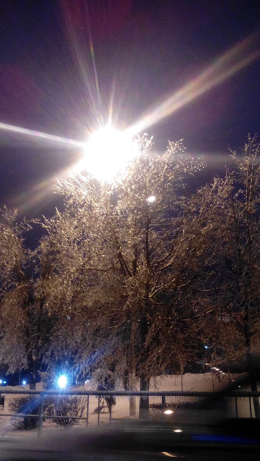 Ледяной дождь сделал деревья хрустальными - фото 1
