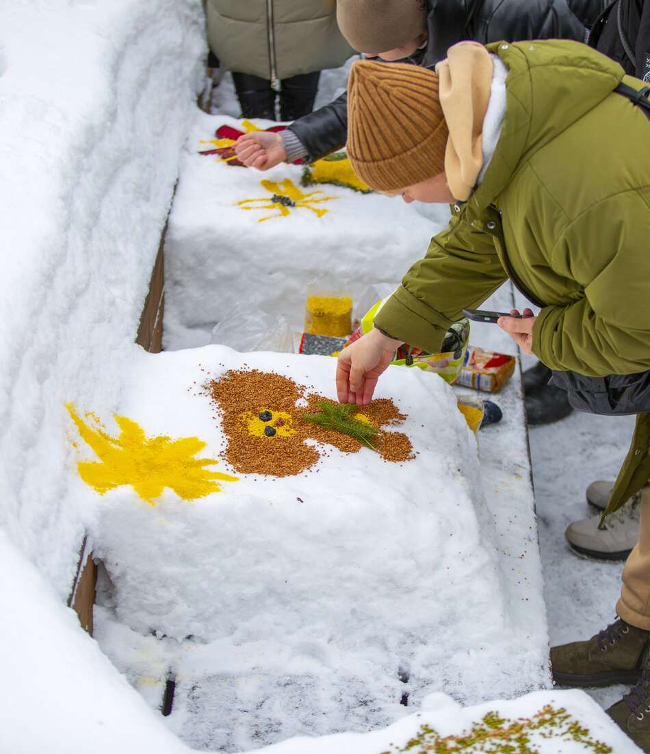 Снежный холст: более 700 москвичей в поддержку птиц создали съедобные картины - фото 5