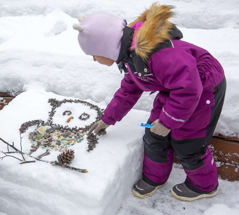 Снежный холст: более 700 москвичей в поддержку птиц создали съедобные картины - фото 7