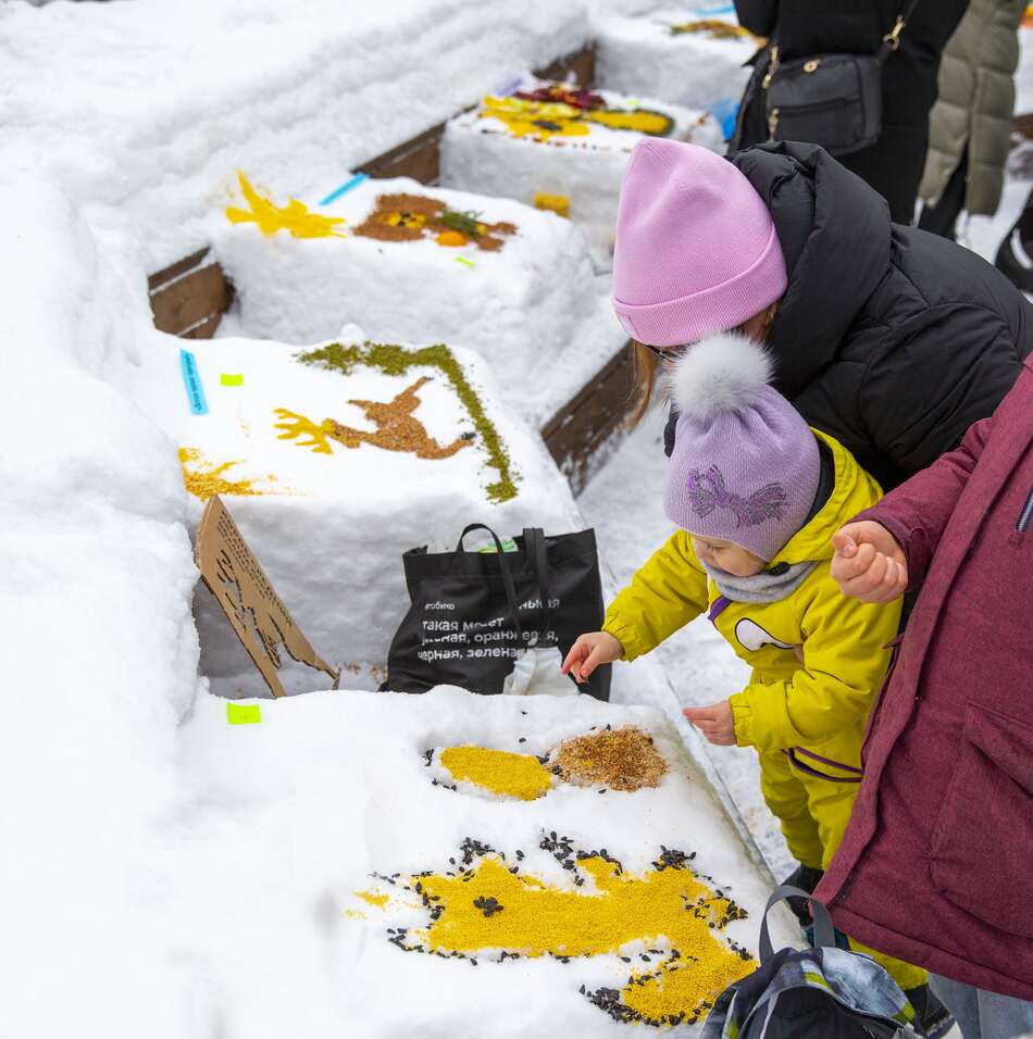 Снежный холст: более 700 москвичей в поддержку птиц создали съедобные картины - фото 8