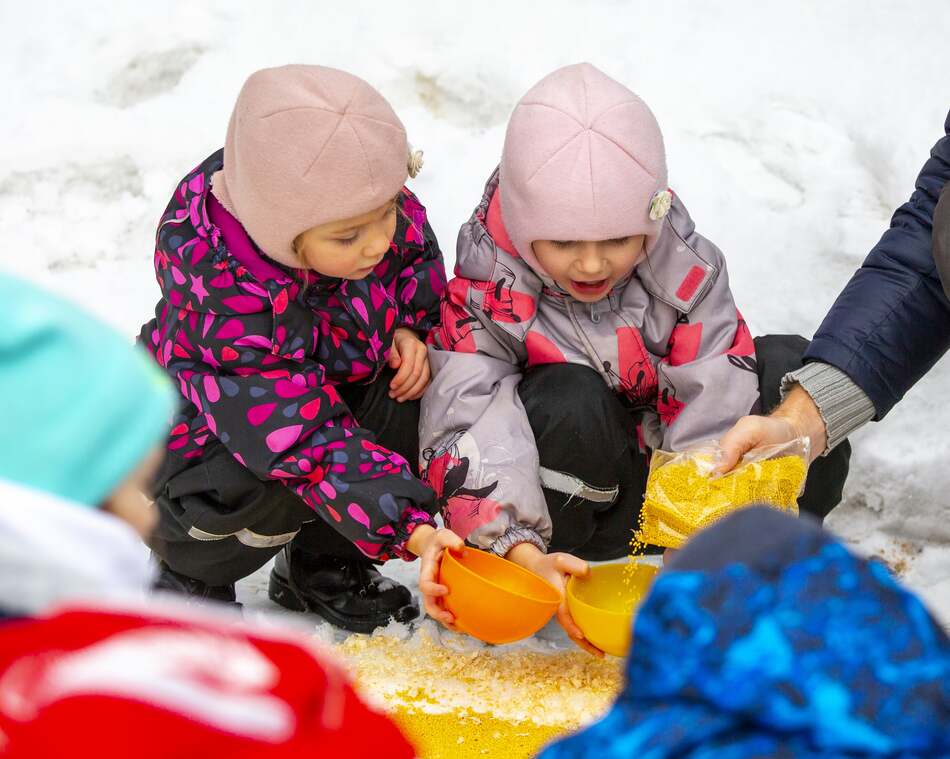 Снежный холст: более 700 москвичей в поддержку птиц создали съедобные картины - фото 12