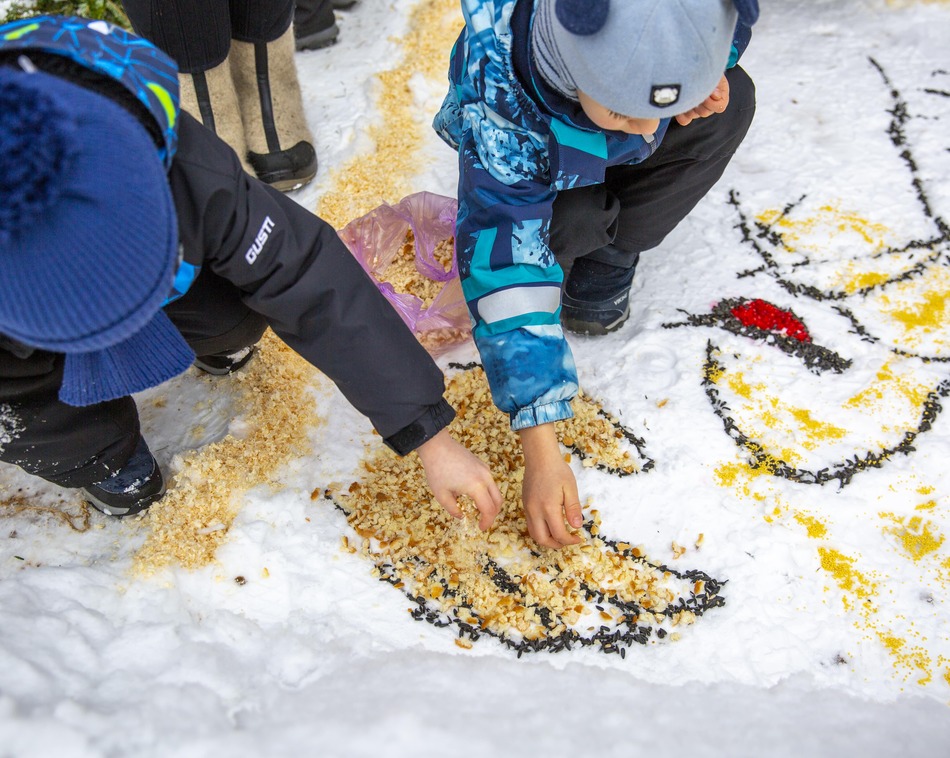Снежный холст: более 700 москвичей в поддержку птиц создали съедобные картины - фото 18
