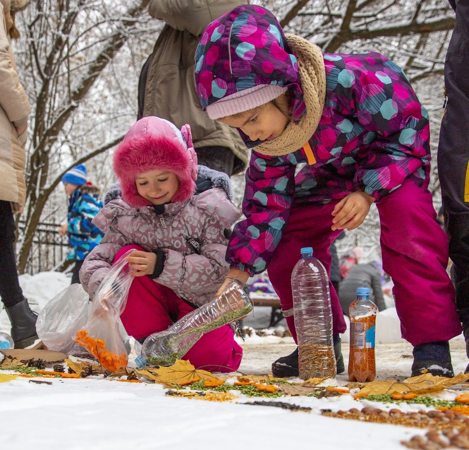 Снежный холст: более 700 москвичей в поддержку птиц создали съедобные картины - фото 19
