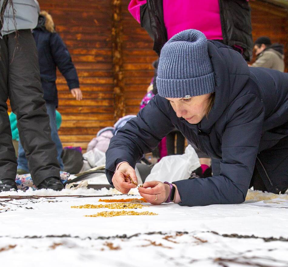 Снежный холст: более 700 москвичей в поддержку птиц создали съедобные картины - фото 20