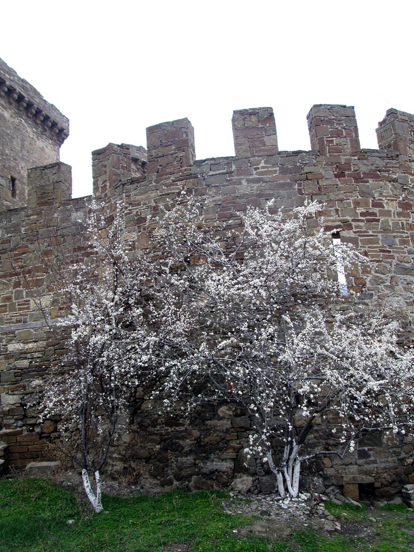 Генуэзская крепость в Судаке - фото 60