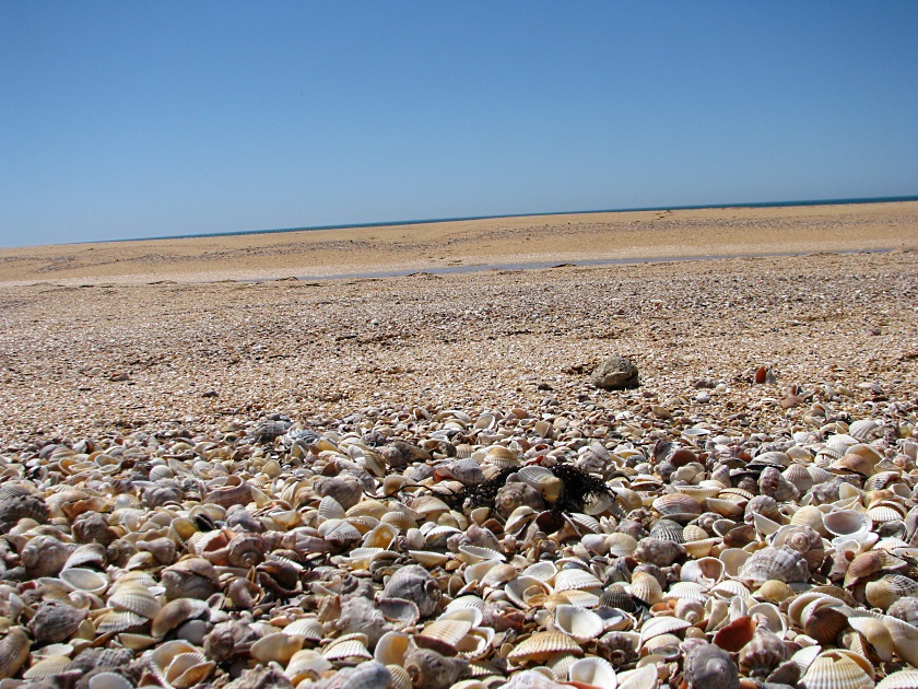 Мыс Опук-золотой песок и скалы-корабли - фото 4