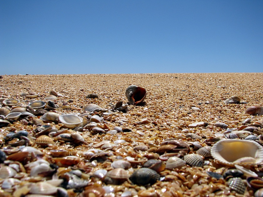 Мыс Опук-золотой песок и скалы-корабли - фото 12