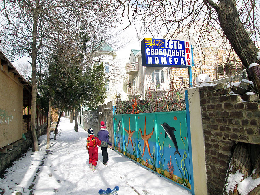 Крым в снегу - фото 27