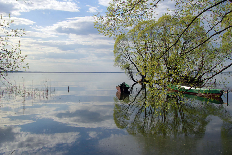 Небольшая фотозарисовка о Плещеевом озере - фото 12