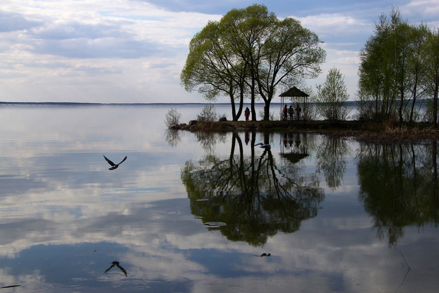 Небольшая фотозарисовка о Плещеевом озере - фото 14
