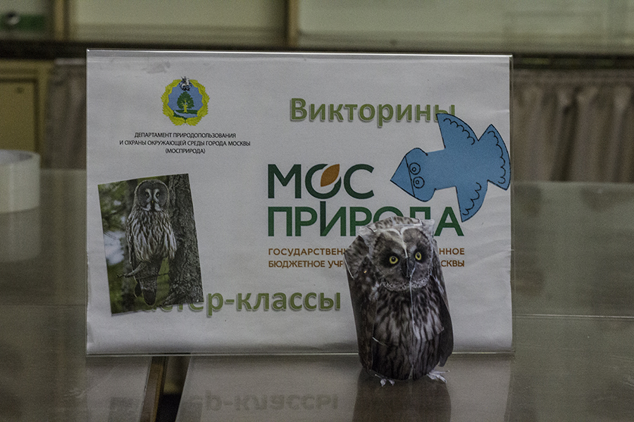 День птиц в Биологическом музее им. К.А. Тимирязева - фото 26
