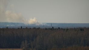 Камеры видеонаблюдения помогли предотвратить пожар в ивановском лесу - фото 1