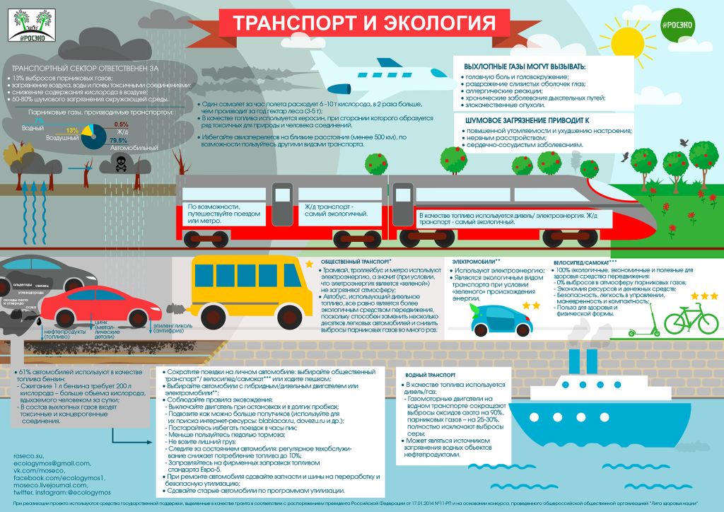  Ко Дню без автомобиля эко-активисты подготовили инфографику о вреде транспорта и предложили экологичную альтернативу - фото 2