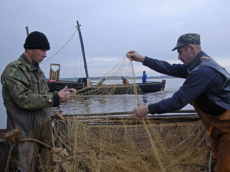промышленный лов рыбы на озере