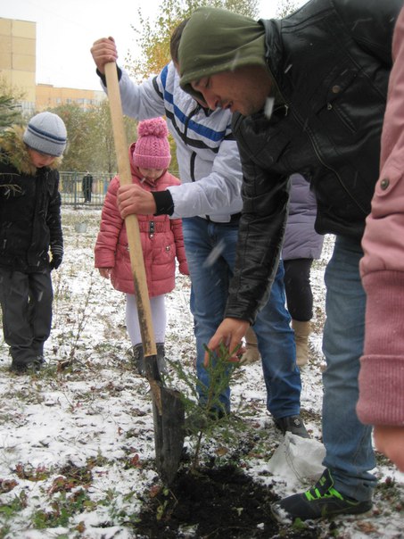  В Республике Мордовия к программе «Больше кислорода» присоединились детские сады и школы - фото 3