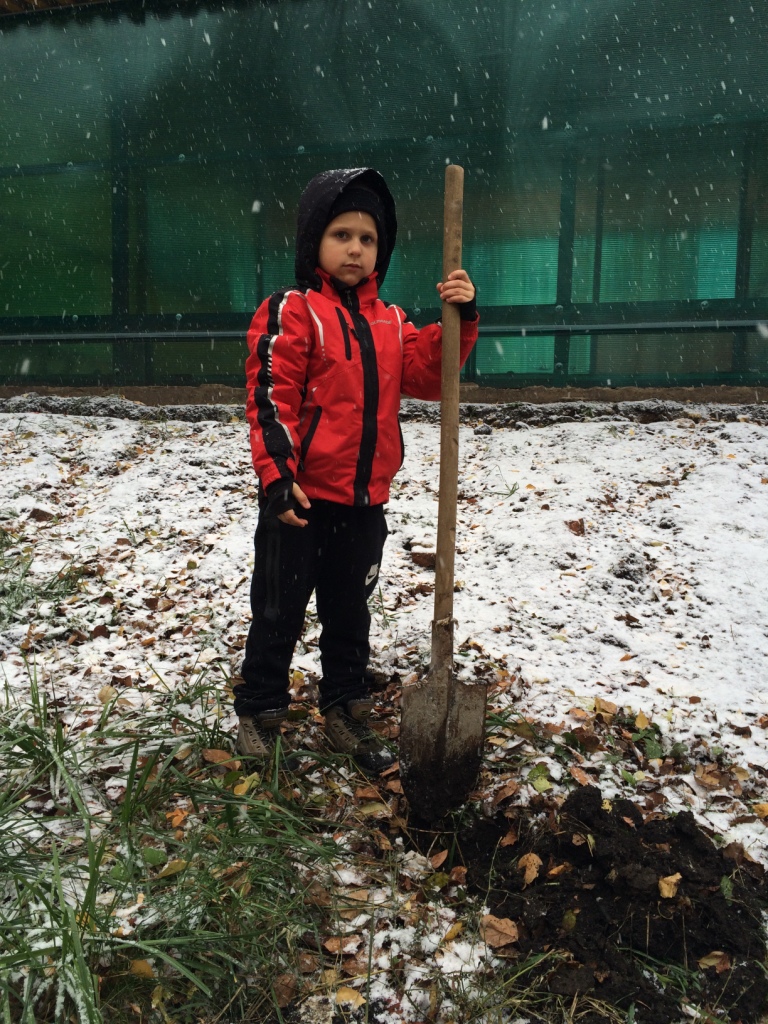  В Республике Мордовия к программе «Больше кислорода» присоединились детские сады и школы - фото 6