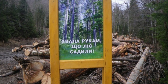  Карпаты облысели: туристы оценили масштабы вырубок леса на Украине - фото 1