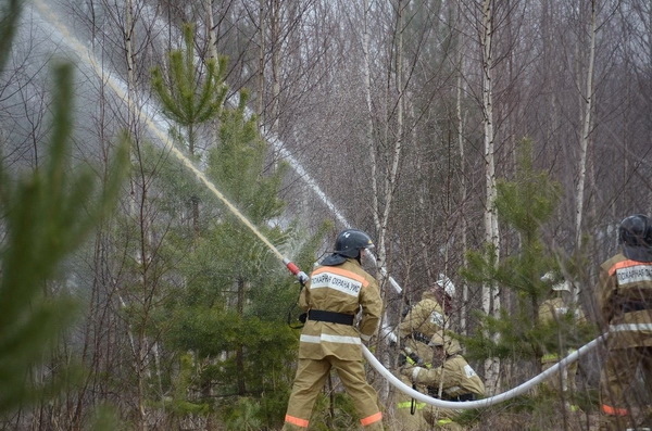  Центр по охране лесов Ивановской области принял участие в масштабном пожарно-тактическом учении - фото 1