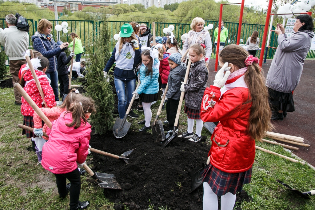 Акция "Лес Победы" стартовала на территории одной из московских школ - фото 10