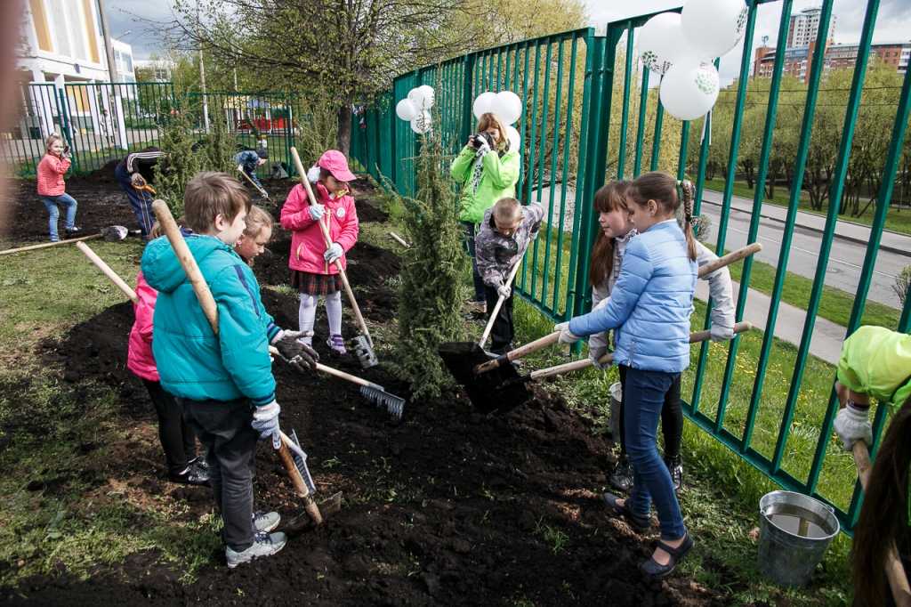 Акция "Лес Победы" стартовала на территории одной из московских школ - фото 1