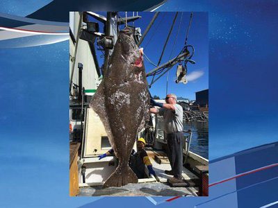  В сети появилось фото пойманного на Аляске 180-килограммового палтуса - фото 1