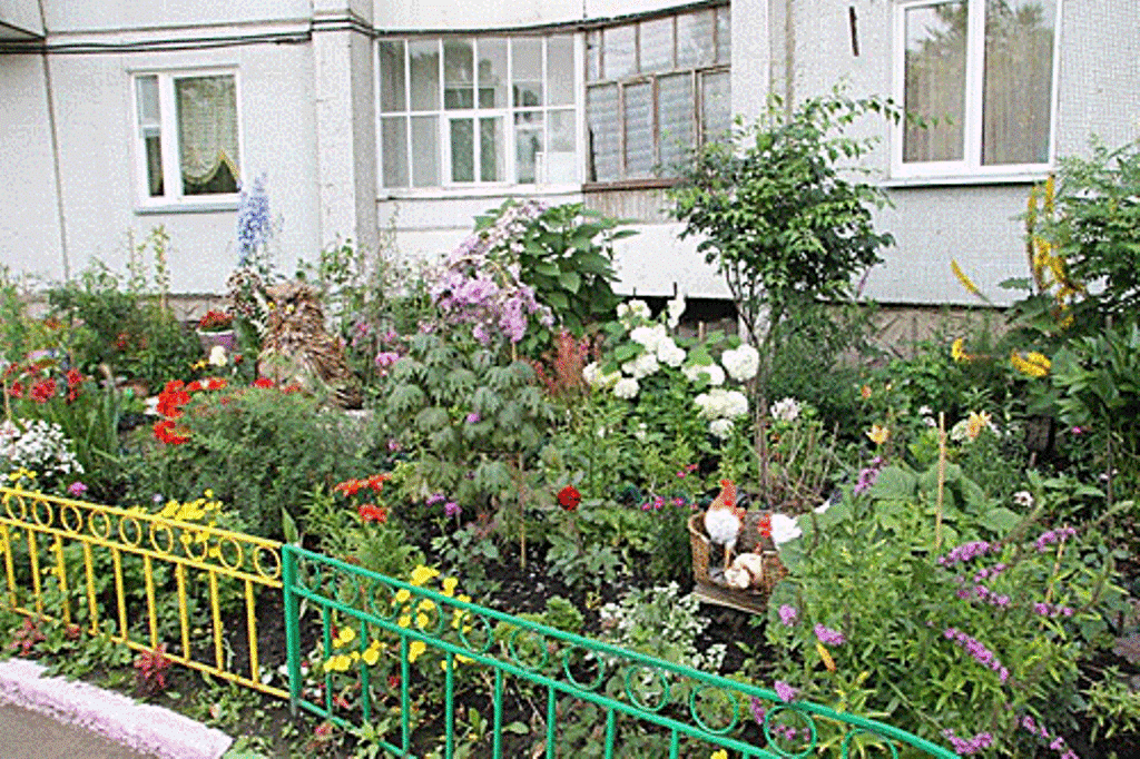 Клумбы и цветники около дома - фото 6