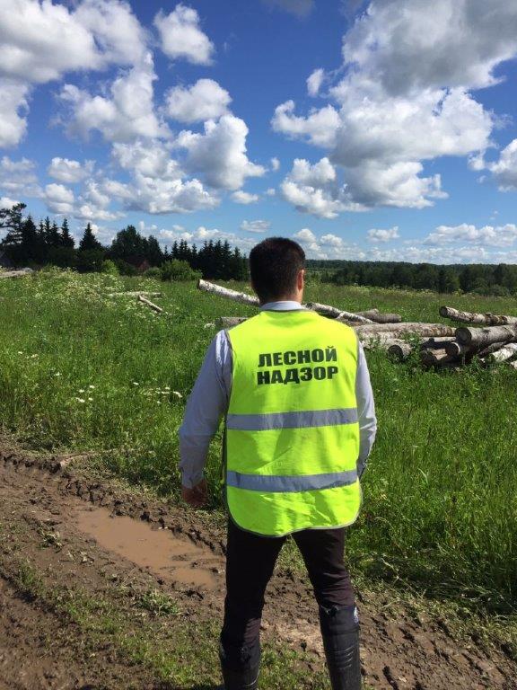 Выезд сотрудников Департамента лесного хозяйства Ярославской области  по обращению жителей - фото 2