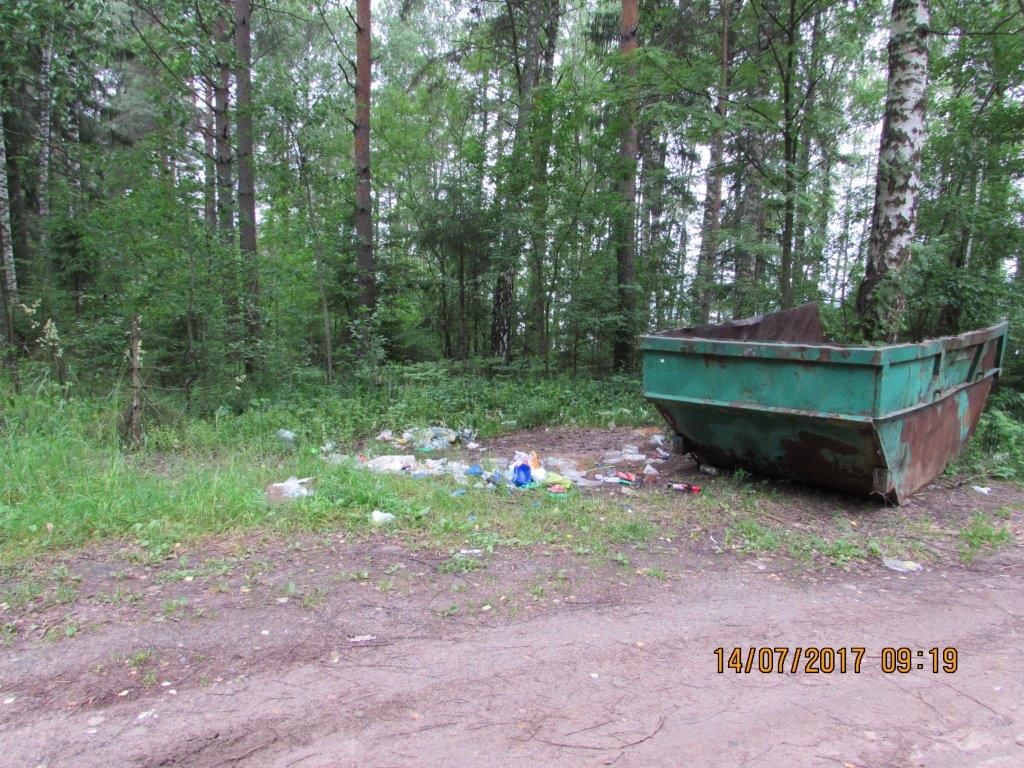 Ликвидация несанкционированных свалок на территории лесного фонда Ярославской области - фото 3