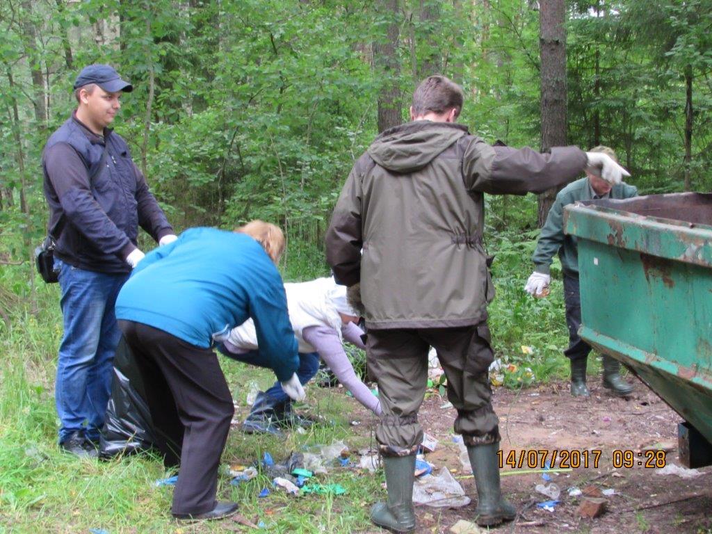 Ликвидация несанкционированных свалок на территории лесного фонда Ярославской области - фото 4
