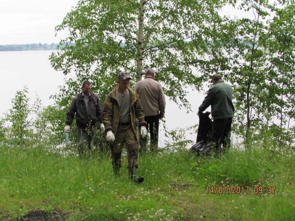 Ликвидация несанкционированных свалок на территории лесного фонда Ярославской области - фото 6