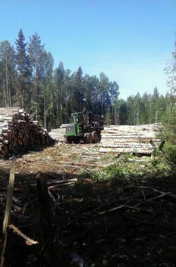 Кому мешают и почему вырубаются леса в заповедниках, заказниках и ООПТ Удмуртии? - фото 2