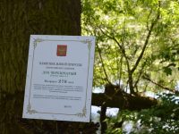 В Тульской области впервые двум деревьям  присвоен статус «Дерево – памятник живой природы» - фото 1