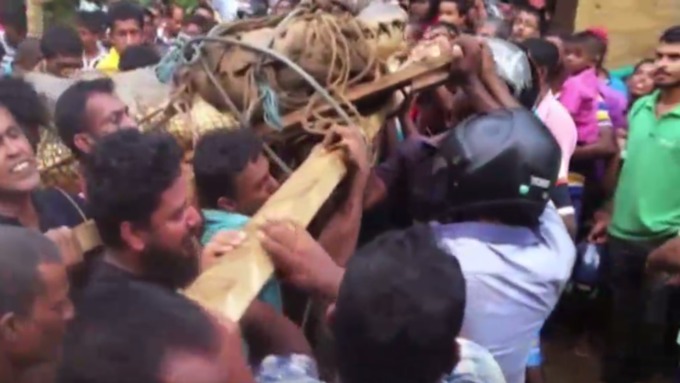 Жители деревни в Шри-Ланке поймали и связали пятиметрового крокодила (видео) - фото 1