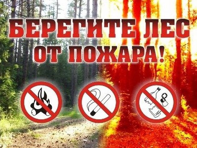 Московская область к пожароопасному сезону готова - фото 1