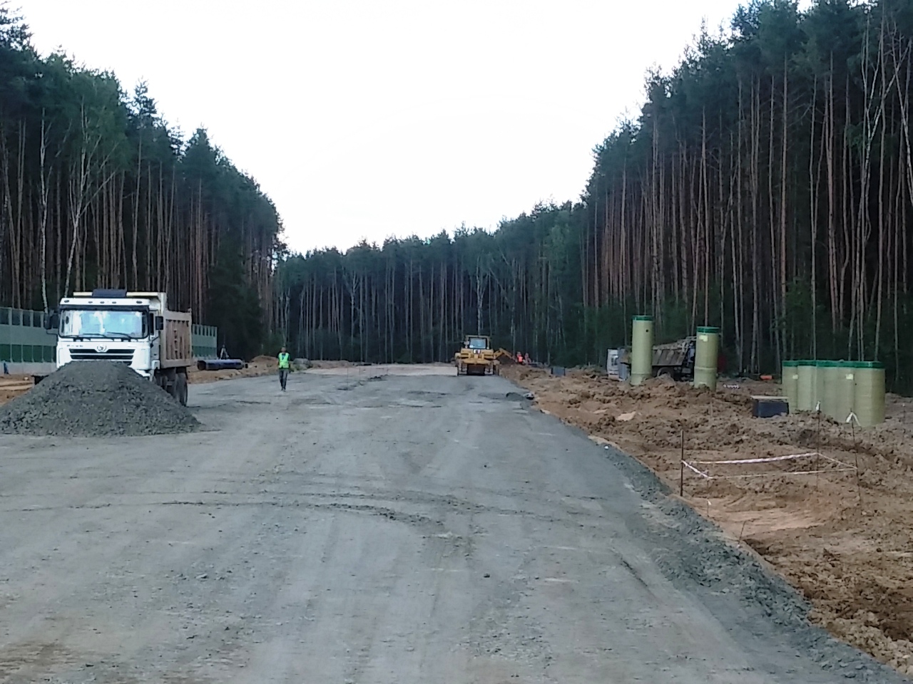  Вот что власти Москвы хотят сделать с лесами новой Москвы - фото 4
