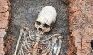  Британcкие учёные изучают найденный на Урале скелет женщины-"пришельца" - фото 1