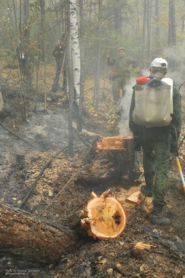  Площадь горящих в Сибири лесов на понедельник составила 180 тысяч га - фото 5