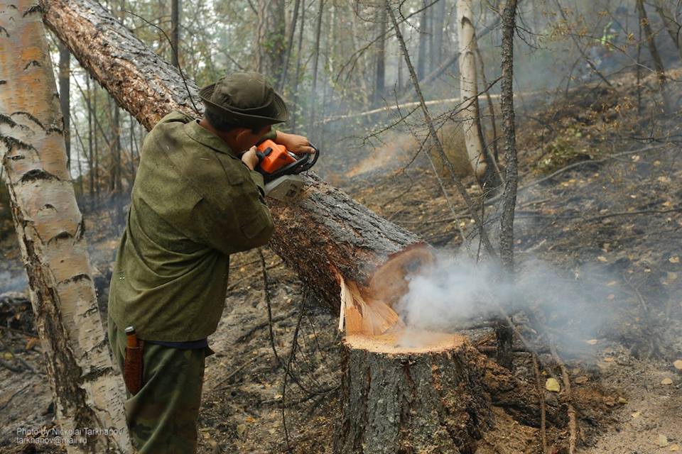  Площадь горящих в Сибири лесов на понедельник составила 180 тысяч га - фото 10