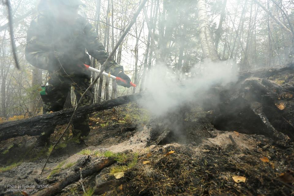  Площадь горящих в Сибири лесов на понедельник составила 180 тысяч га - фото 15