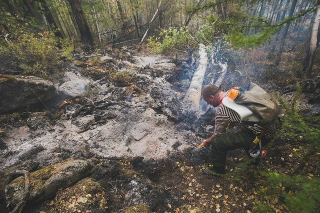  Площадь горящих в Сибири лесов на понедельник составила 180 тысяч га - фото 18