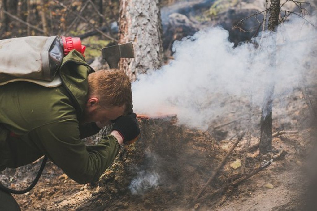  Площадь горящих в Сибири лесов на понедельник составила 180 тысяч га - фото 19