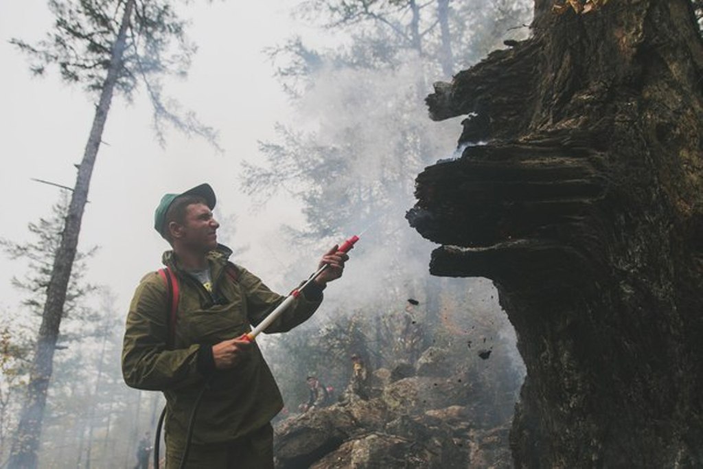  Площадь горящих в Сибири лесов на понедельник составила 180 тысяч га - фото 20