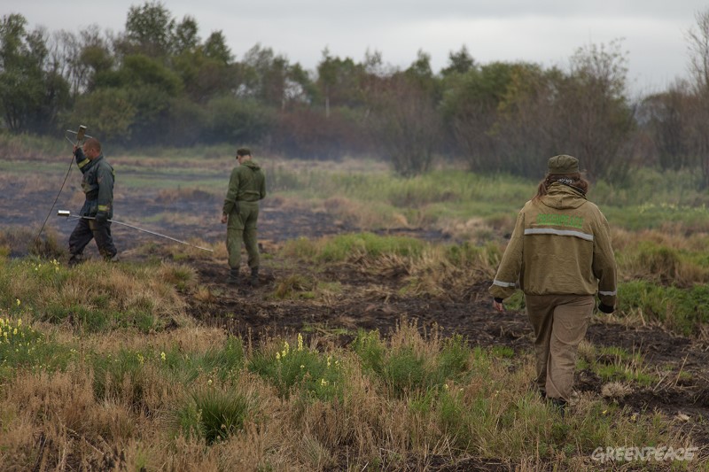  Пожарная команда Гринпис прилетела в Прибайкалье - фото 1