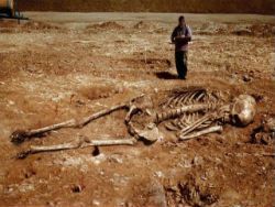  В Эквадоре найден гигантский скелет древнего человека - фото 1
