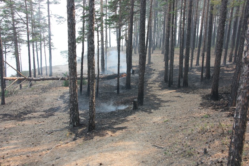  В Прибайкалье огонь прошел больше миллиона гектаров земли - фото 2