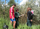  Школьники поучаствовали в лесопатологическом  обследовании в Белгородской области - фото 1