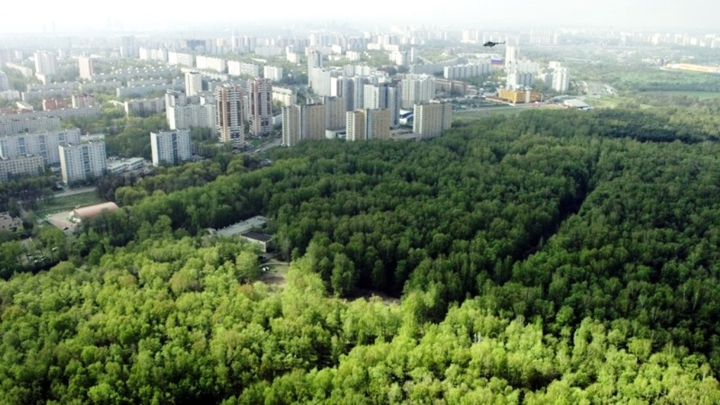  Обеспечение благоприятной и безопасной среды жизни  в городах Московского региона - фото 1
