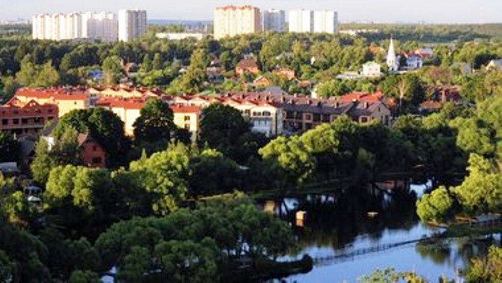  Обеспечение благоприятной и безопасной среды жизни  в городах Московского региона - фото 4