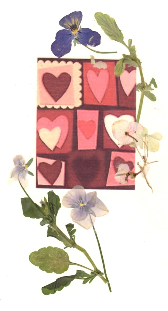 Валентинки из роз и фиалок научат делать 14 февраля в "Аптекарском огороде" - фото 3